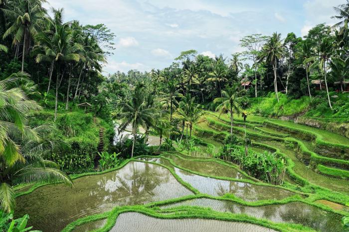 Ubud temples going