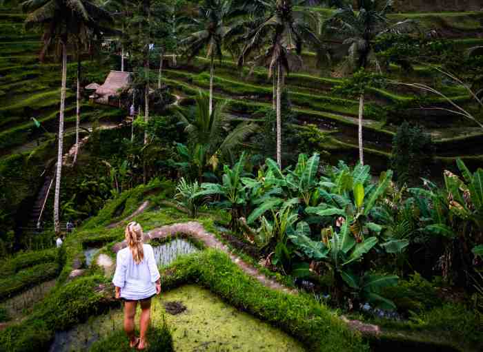 Ubud bali