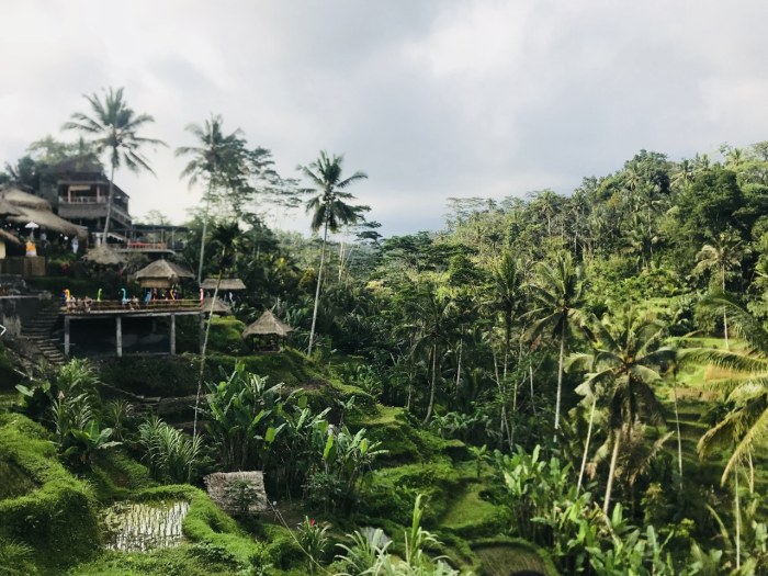 Ubud gecko 1br